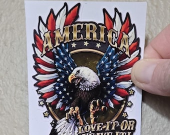 130 - Eagle America Love it or Leave it Sticker