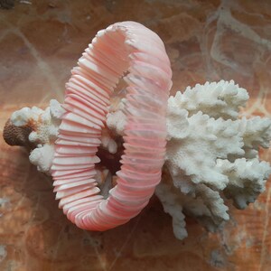 Könnte beinhalten: Ein rosa Muschelbarmband mit geschichtetem Design liegt auf einem Stück weißem Korallenriff. Das Armband besteht aus vielen kleinen, flachen Teilen, die einen strukturierten Look erzeugen. Die Koralle hat eine raue, poröse Oberfläche.