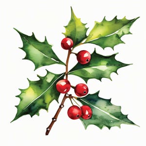 Folhas de Azevinho e Visco, 12 JPGs em Aquarela de Alta Resolução, Clipart de Natal com Licença Comercial, Impressão Sob Demanda, Convites, Decorações, Artesanato em Papel