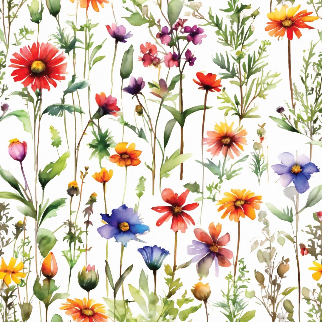Wildflowers Digital Papers Vol. 2, 24 High-res Watercolor Jpgs ...
