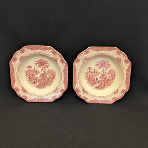 May include: Two matching pink and cream-colored decorative plates. Each plate features a detailed landscape scene in the center, surrounded by a decorative border. The plates have a scalloped edge.