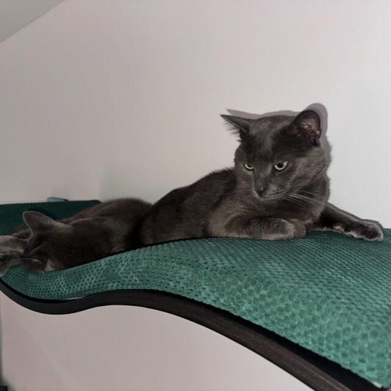 May include: A solid gray cat resting on a curved, dark-colored wall-mounted shelf covered with a textured, dark green fabric pad. The cat is lying down with its body stretched across the length of the shelf, facing toward the left side.