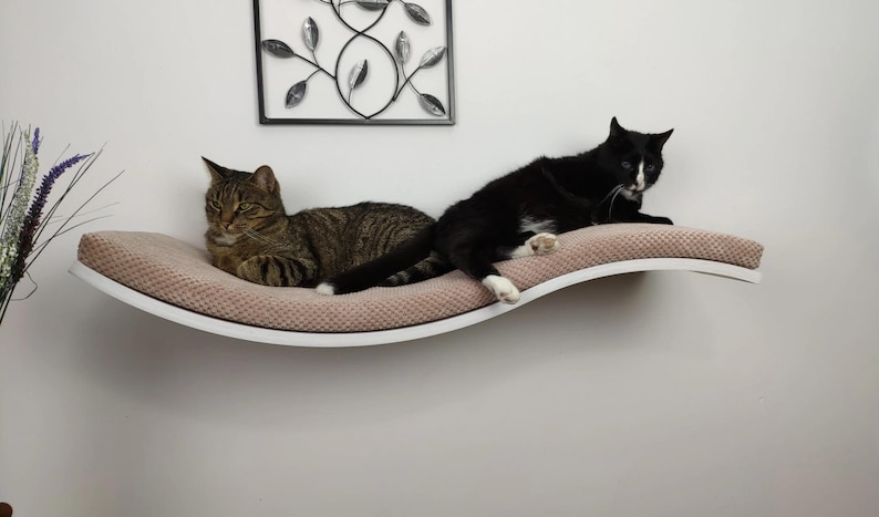 May include: A wall-mounted cat shelf featuring a curved, wave-like white frame and a textured, light beige fabric cushion. A brown tabby cat and a black and white cat are resting on the surface of the shelf, which is attached to a plain wall.