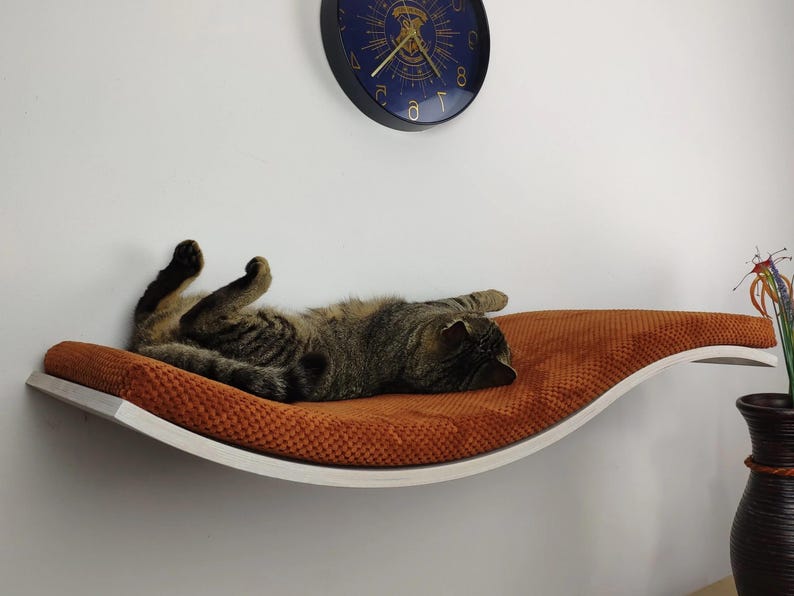 May include: A brown tabby cat lying on its back on a curved, wall-mounted cat shelf with a textured, burnt orange fabric cushion. Above the shelf, a round, dark blue wall clock features gold-colored numbers and a central emblem design.