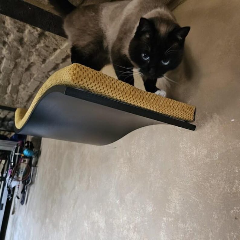 May include: A wall-mounted cat shelf featuring a curved black frame and a textured mustard yellow fabric surface. A Siamese cat with dark brown points and bright blue eyes stands on the shelf, looking directly toward the camera lens.
