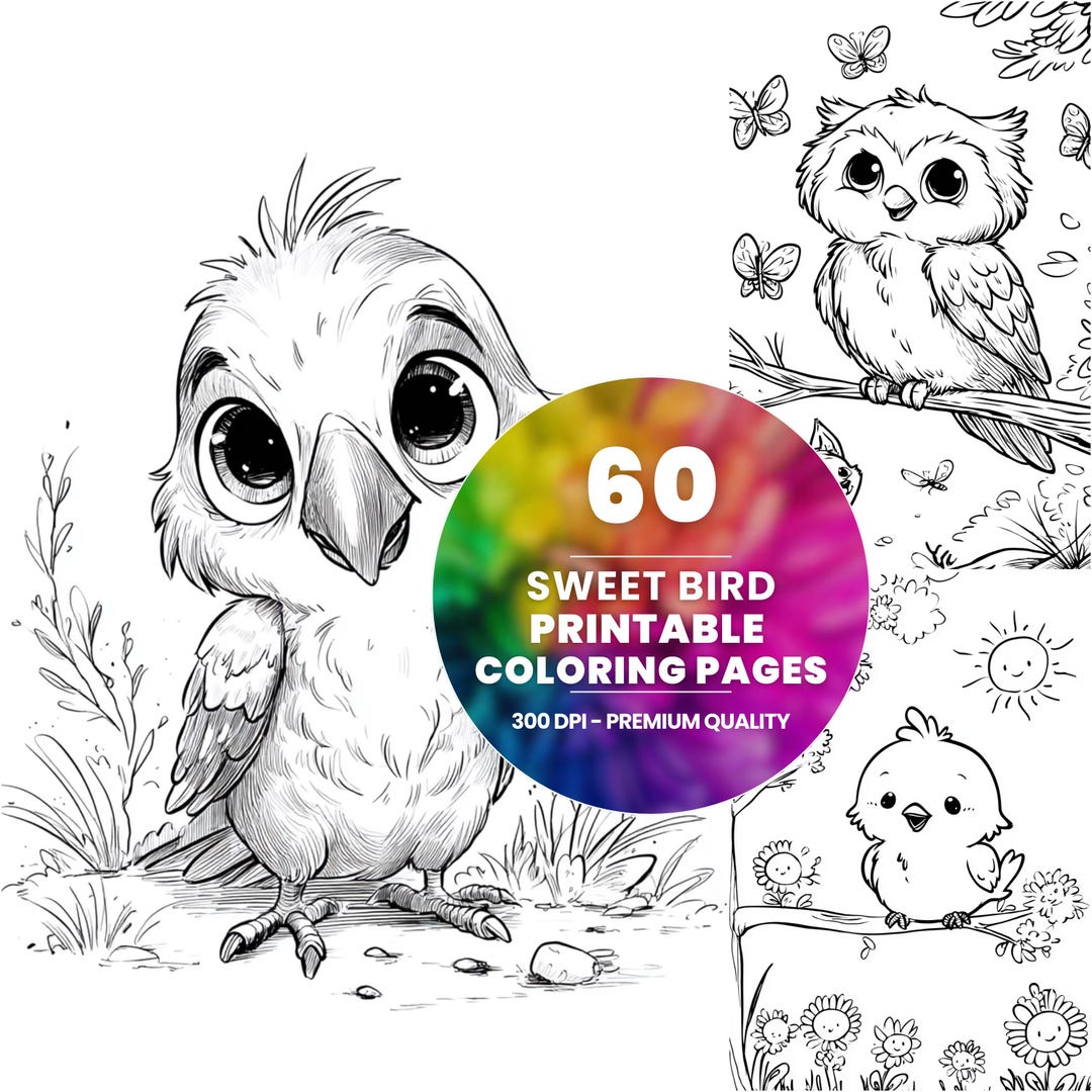 60 Bird Coloring Pages – Kids & Adults Printable Art (PDF Download - Etsy