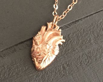 Rose Gold Anatomical Heart Necklace Gold Real Heart Sterling Silver