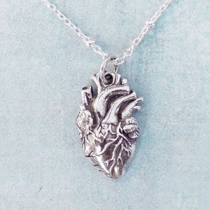 Sterling Silver Anatomical Heart Necklace Gold Real Heart Rose Gold