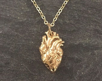 Golden Anatomical Heart Necklace - Sterling Silver Anatomical Heart Necklace - Gold Real Heart