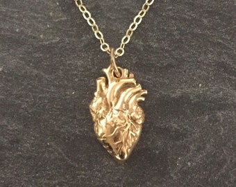 Golden Anatomical Heart Necklace - Sterling Silver Anatomical Heart Necklace - Gold Real Heart