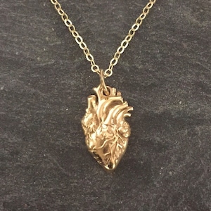 Golden Anatomical Heart Necklace - Sterling Silver Anatomical Heart Necklace - Gold Real Heart