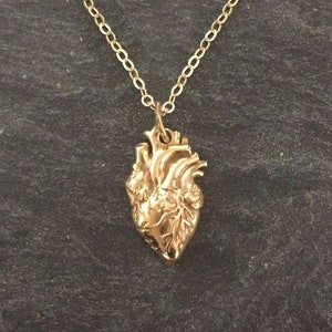 Golden Anatomical Heart Necklace - Sterling Silver Anatomical Heart Necklace - Gold Real Heart