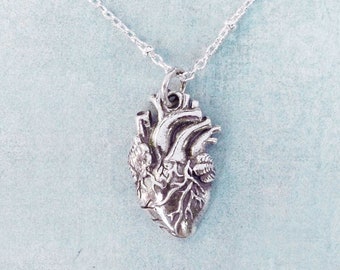 Sterling Silver Anatomical Heart Necklace or Golden Real Heart