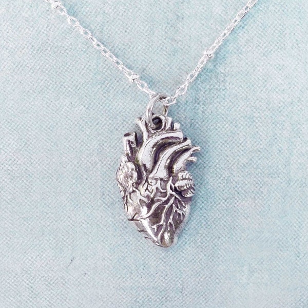 Sterling Silver Anatomical Heart Necklace or Golden Real Heart