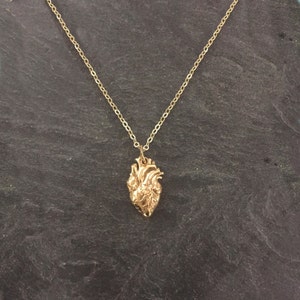 Sterling Silver Anatomical Heart Necklace or Gold Real Heart Rose Gold ...