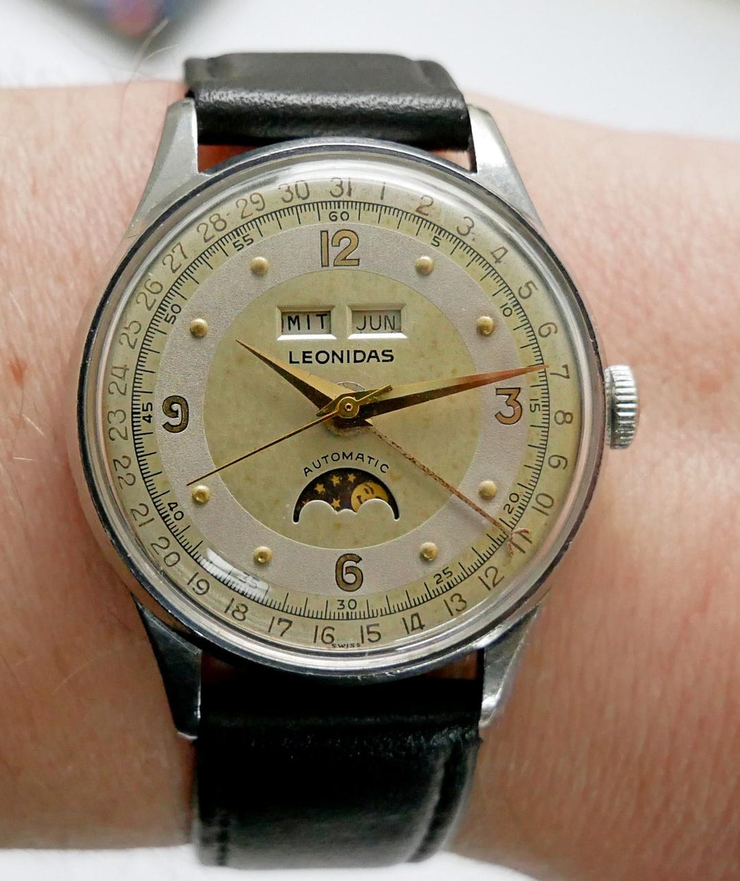 レオナルド il_1080xN.6479503915_f5ro.jpg