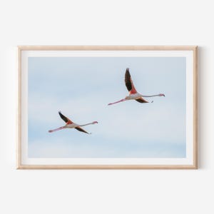 Flamingos Wall Art Print - Minimalist Nature Photography for Modern Home Decor, Perfect Wall Art for Nature Lovers and Elegant Interiors