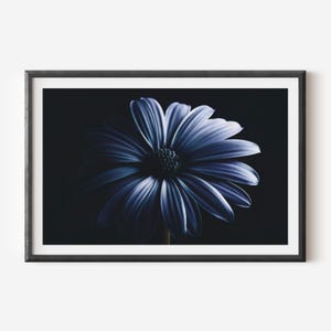 Blue Flower Wall Art - Moody Floral Photography Print for Modern Home Decor, Elegant Nature-Inspired Artwork, Sophisticated Fine Art Decor
