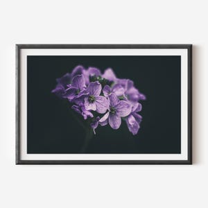 Purple Flowers Print - Dark and Moody Floral Photography, Wall Art Decor for Home, Elegant Purple Floral Art, Botanical Decor