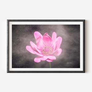 Luxury Pink Floral Wall Art - Fine Art Botanical Print, Exclusive Nature Photography, Elegant Feminine Decor, Premium Museum-Quality Print