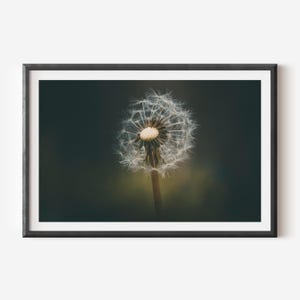 Botanical Wall Art - Minimalist Dandelion Photography Print for Elegant Home Decor, Nature Lovers, and Modern Interior Styling