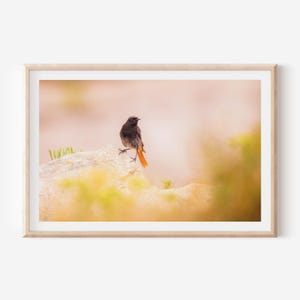 Minimalist Bird Print - Delicate Nature Photography Wall Art for Serene Home Decor, Perfect for Modern and Elegant Interior Spaces