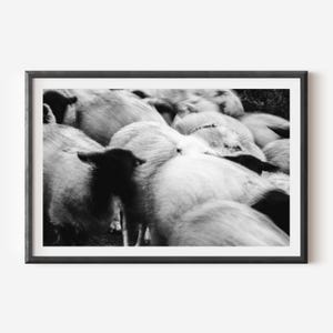 Abstract Sheep Wall Art - Black and White Photography Print, Minimalist Motion Blur Decor, Surreal Animal Art, Contemporary Farmhouse