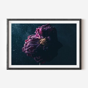 Dark Floral Wall Art - Moody Fine Art Photography Print, Elegant Vintage Flower Decor, Dramatic Botanical Art for Modern Home & Office
