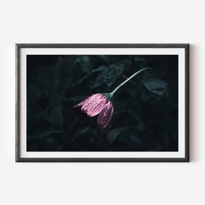 Luxury Moody Floral Wall Art - Dark Botanical Fine Art Print, Dramatic Flower Photography, Elegant Minimalist Nature Decor for Home & Office