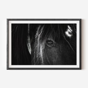 Minimalist Horse Photo - Black and White Art Print for Modern Equine Decor, Simple Wall Art Perfect for Horse Lovers and Stylish Home Design