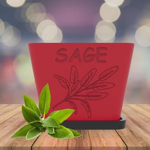 Sage Herb Planter STL File for 3D Printing, Ideal for Gardening Enthusiasts & DIY Projects .STL File for 3D Printing.