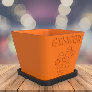 Ginger Herb Planter - Indoor Planter for Fresh Herbs, Perfect Kitchen Window Garden & Gift Idea, .STL file for 3d printing, 3D printer file.