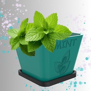 Mint Herb Planter .STL File for 3D Printing, Planter Design, Garden Decor & Seed Starter, Downloadable Printable File