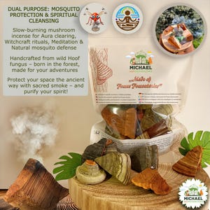 100% Natuurlijke Paddenstoel Wierook – Anti-Muggen, Ritueel & Spirituele Reiniging