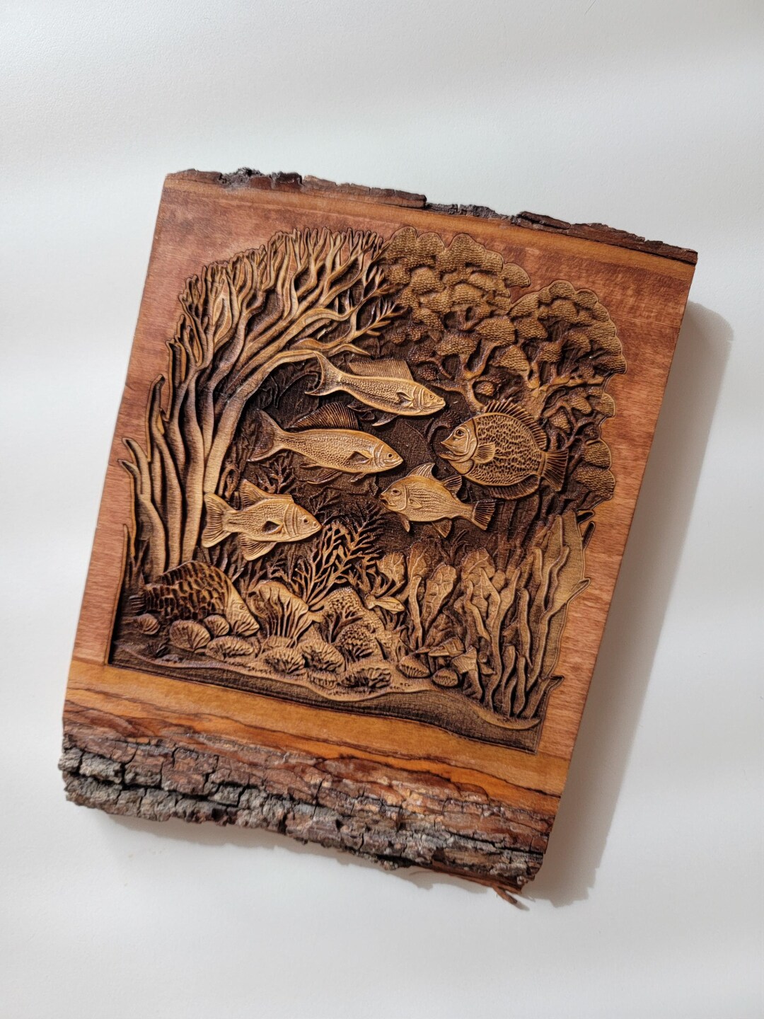 Live_edge Fish/ Aquarium Plaque With Stand- Wall or Shelf Decoration - Etsy - Research Edge Goldfish Tank Decoration