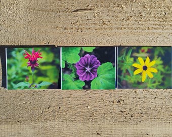Flower Cards