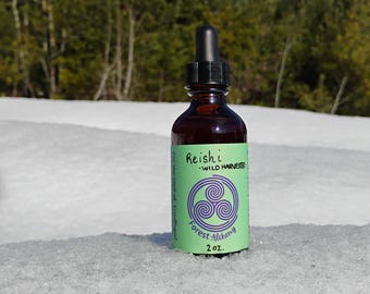 Reishi Tincture - double extraction - Ganoderma tsugae - 2oz