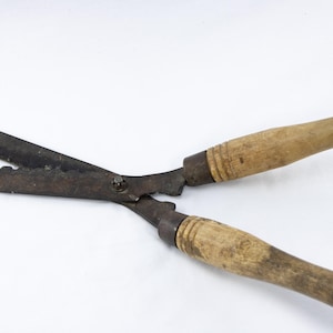 Antique Garden Hedge Shears: Rustic Farmhouse Decor, Early 1900s