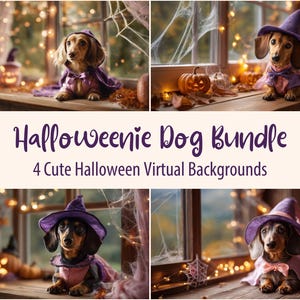 以下が含まれることがあります： ハロウィーンの衣装を着たダックスフント犬の4つの画像。各犬は紫色の魔女の帽子とマントを着用しています。背景にはカボチャ、紅葉、妖精のライトが含まれています。「Halloweenie Dog Bundle」と書かれたテキスト。