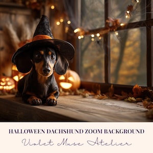 以下が含まれることがあります： 黒と茶色のダックスフントが魔女の帽子をかぶり、木の表面に座っています。彫刻されたカボチャ、秋の葉、窓があります。「Halloween Dachshund Zoom Background」と「Violet Muse Atelier」の文字があります。