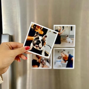 Customizable Picture Magnets for Gifts, Home & Office | Personalized Photo Magnets | Unique Fridge Magnets | Custom Photo Magnets for Gifts