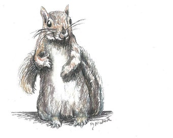 Squirrel Standing up for Herself - Mixed Media