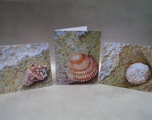 Shell tarjeta colección 100% donación para alivio de desastres de la Cruz Roja