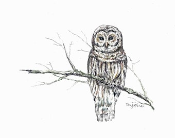 She's a Hoot,  Owl drawing, Mixed Media drawing,  home decor