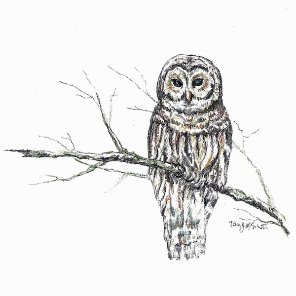 She's a Hoot,  Owl drawing, Mixed Media drawing,  home decor