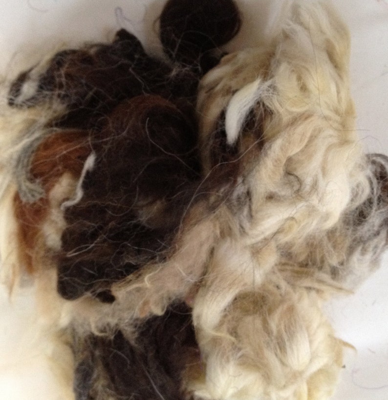 May include: A close-up of a pile of brown, white, and gray wool fibers. The fibers are soft and fluffy, and they are perfect for spinning or felting.