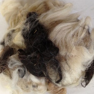 May include: A close-up of a pile of natural fibers, including white, brown, and black wool. The fibers are soft and fluffy, and they are perfect for spinning or felting.