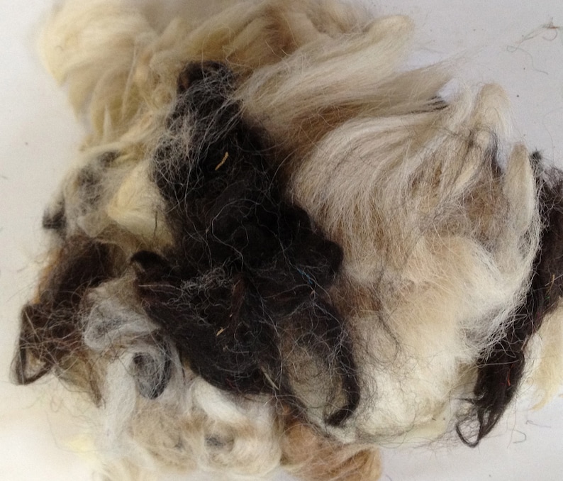 May include: A close-up of a pile of natural fibers, including white, brown, and black wool. The fibers are soft and fluffy, and they are perfect for spinning or felting.