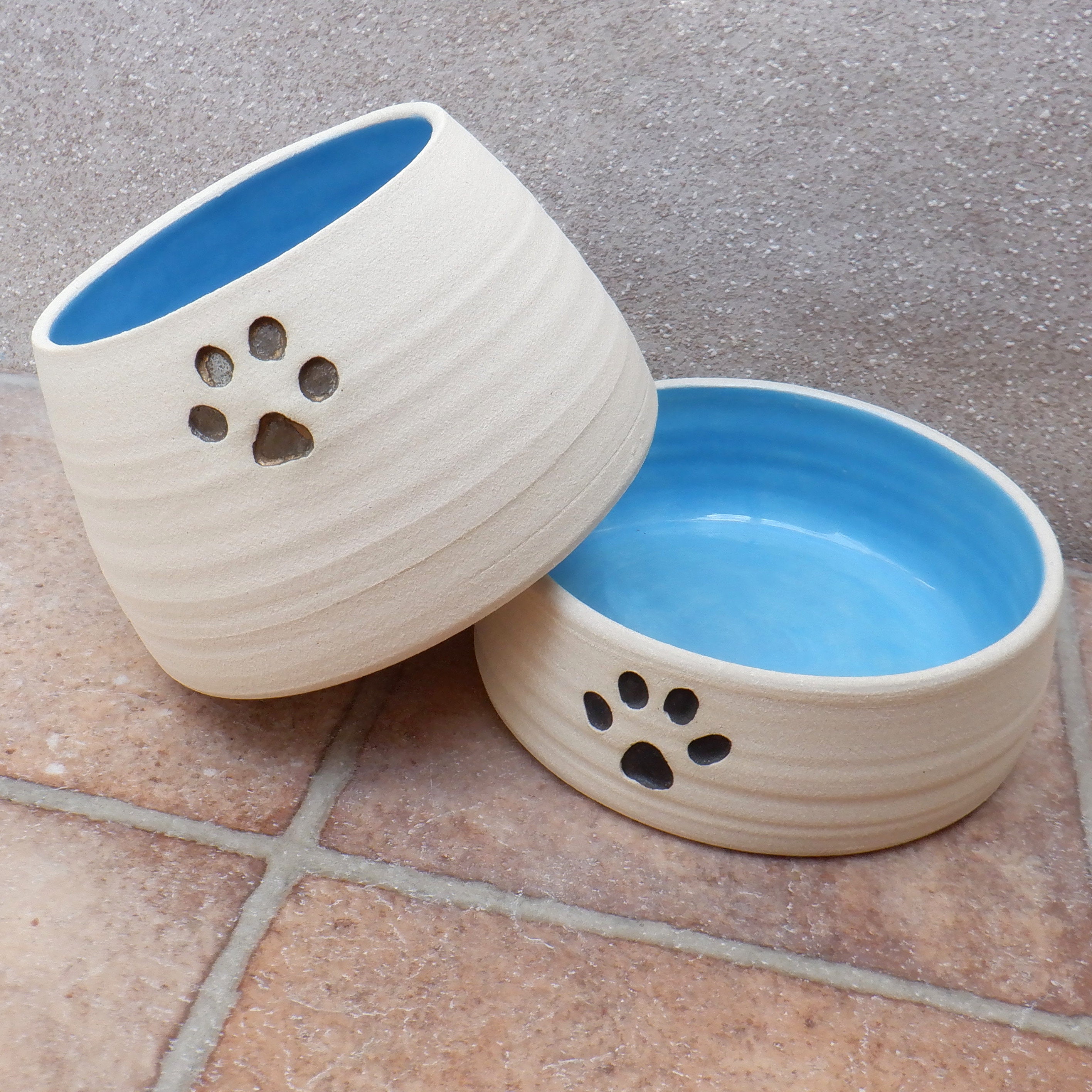 spaniel drinking bowl