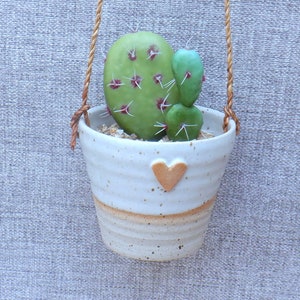 Hanging succulent or cactus holder planter handmade stoneware handthrown pottery wheel thrown ceramic plant pot cacti heart ready to ship image 3